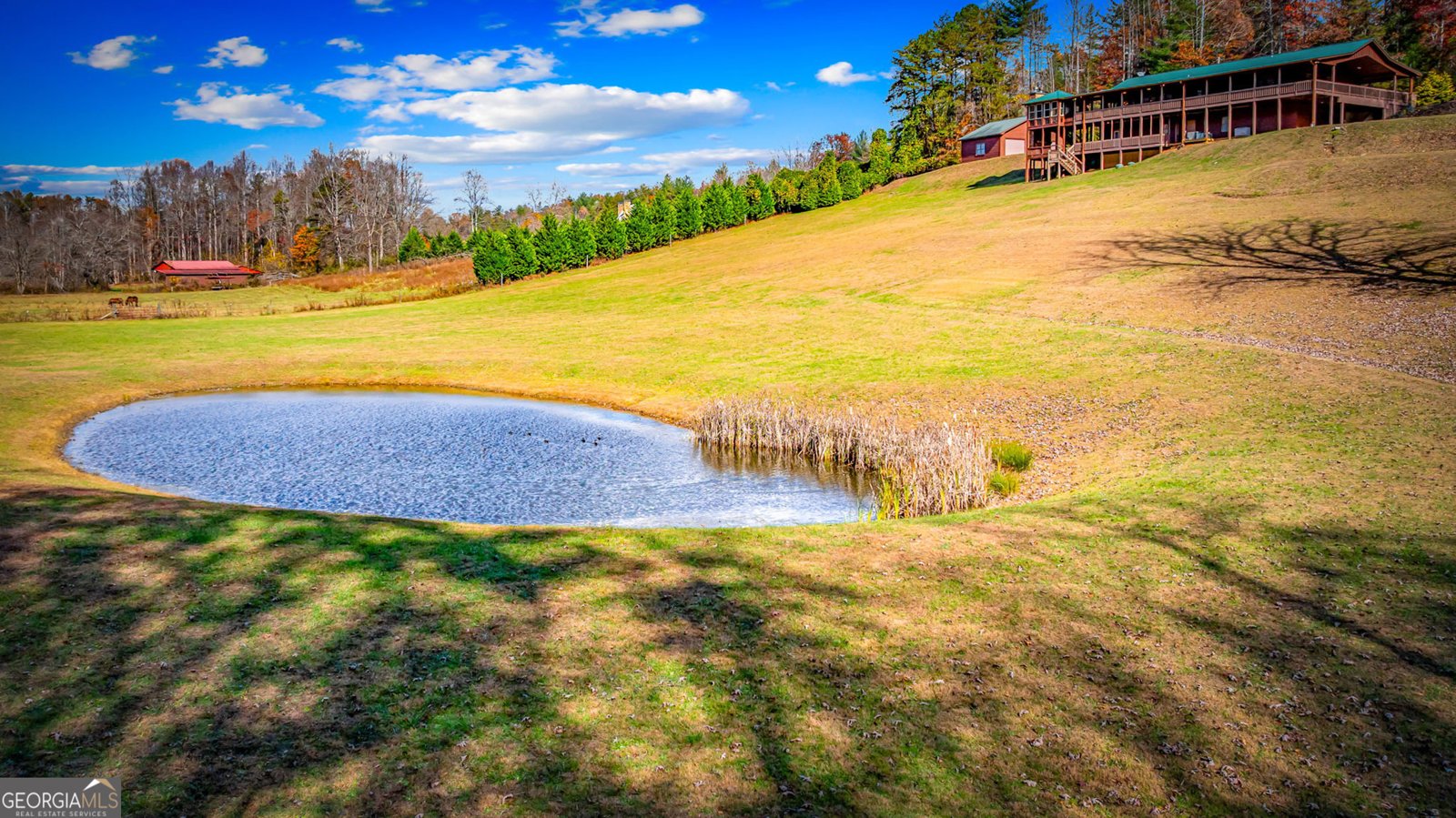 908 Cashes Valley Road Cherry Log - 78