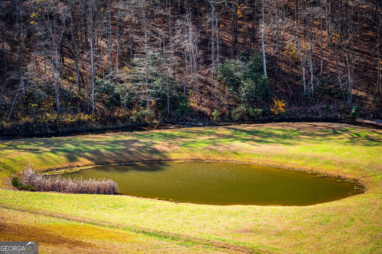 908 Cashes Valley Road Cherry Log - 79