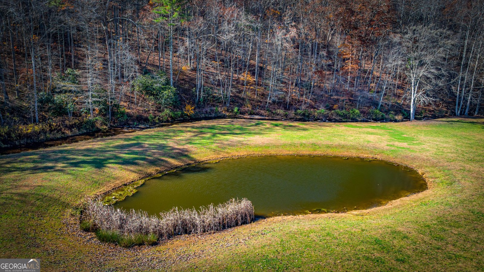 908 Cashes Valley Road Cherry Log - 81