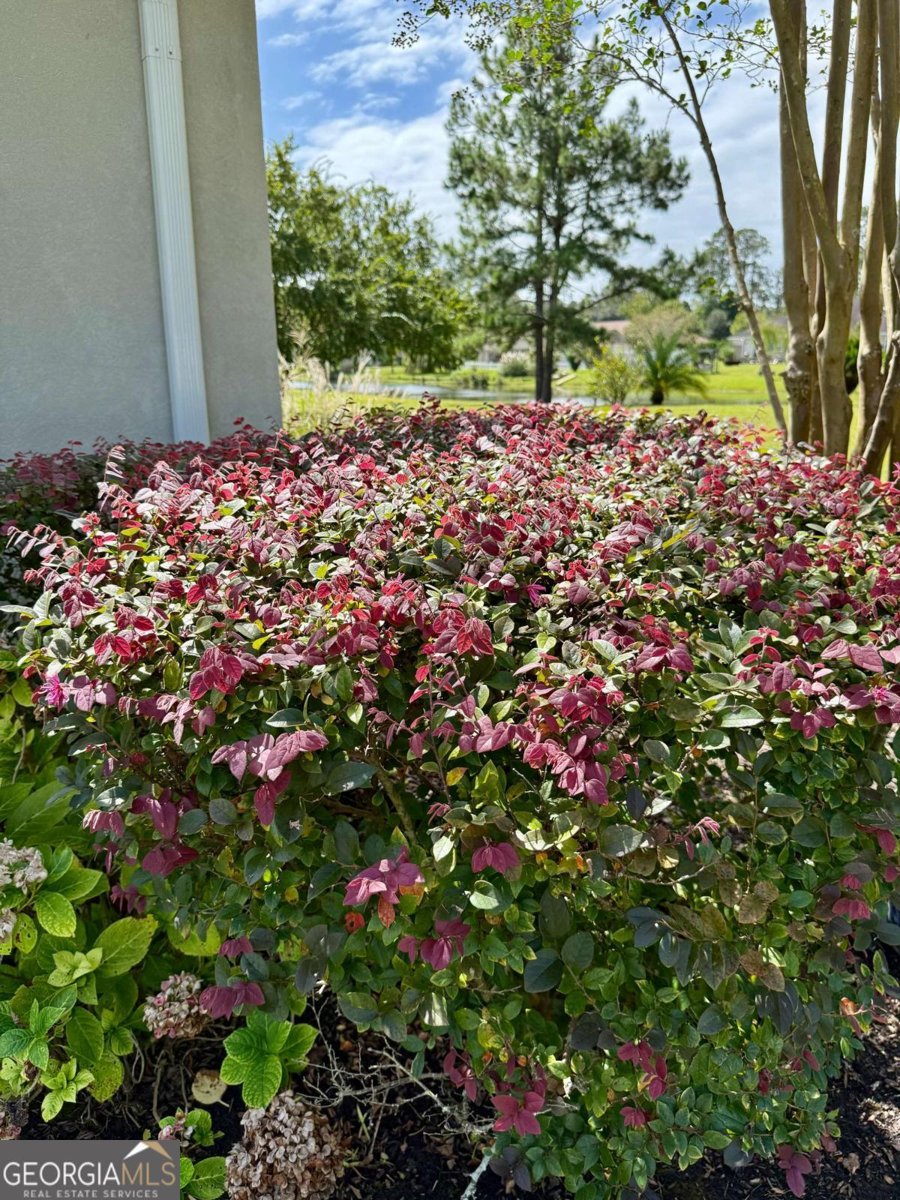 115 Spring Lake Circle Brunswick - 30