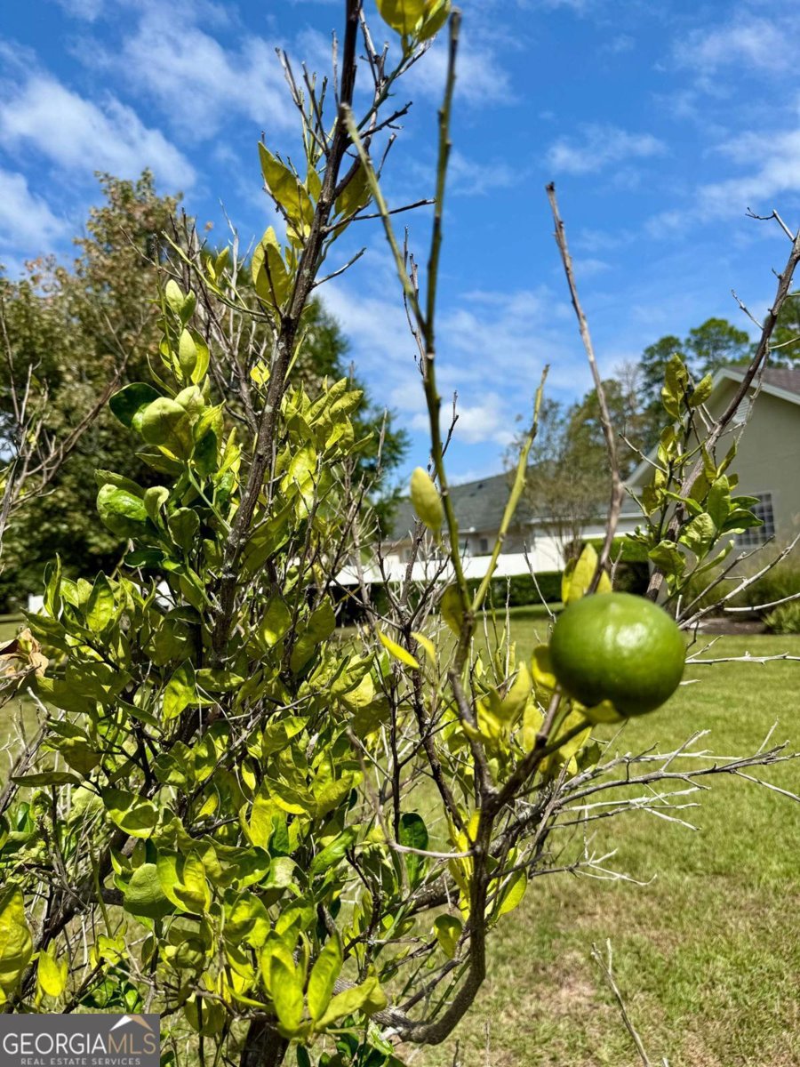 115 Spring Lake Circle Brunswick - 31