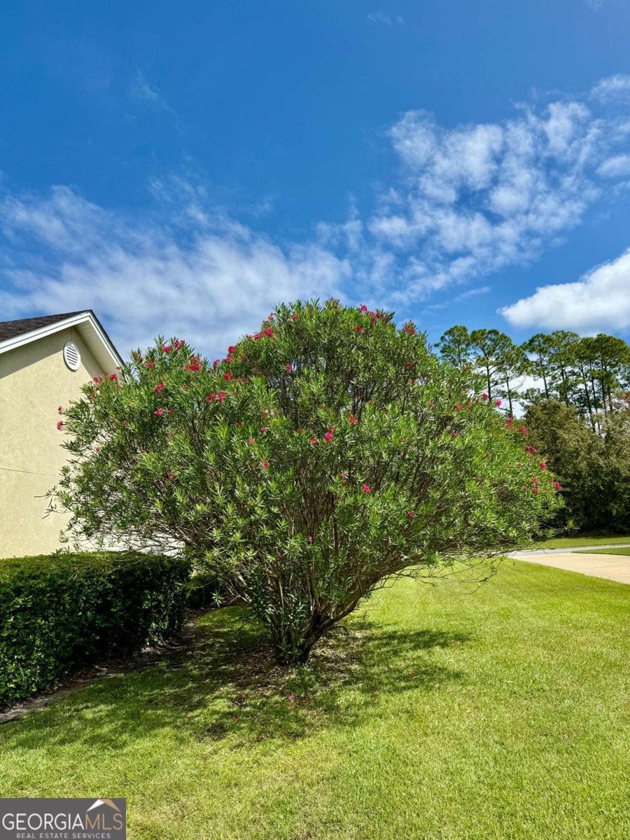 115 Spring Lake Circle Brunswick - 33