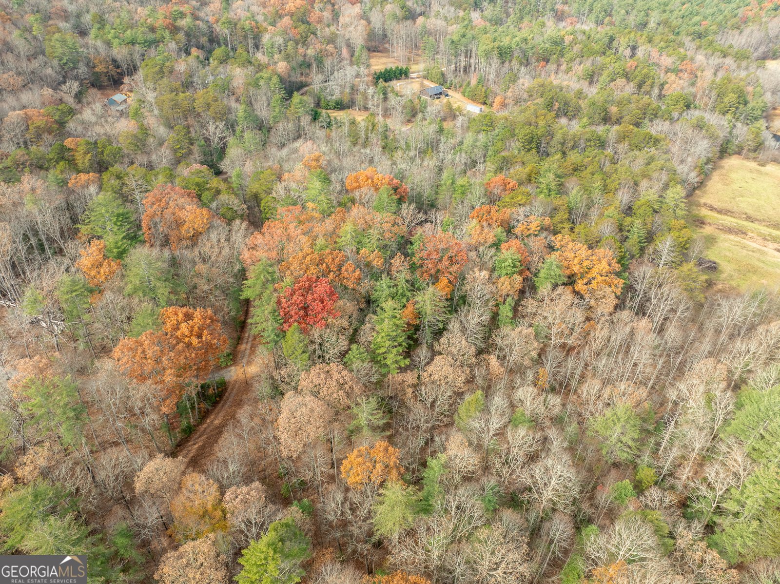 789 Jolley Way Epworth - 3