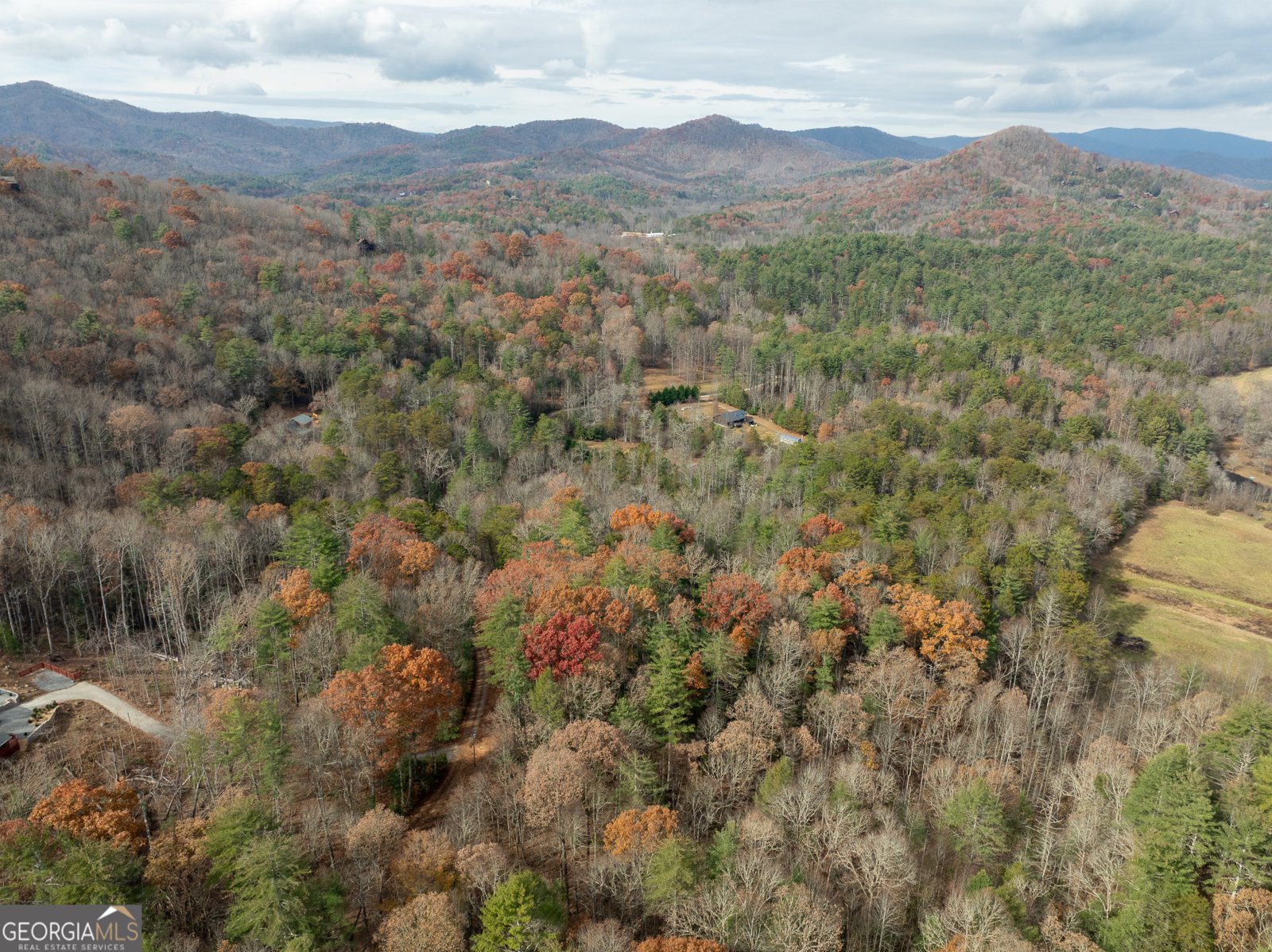 789 Jolley Way Epworth - 4