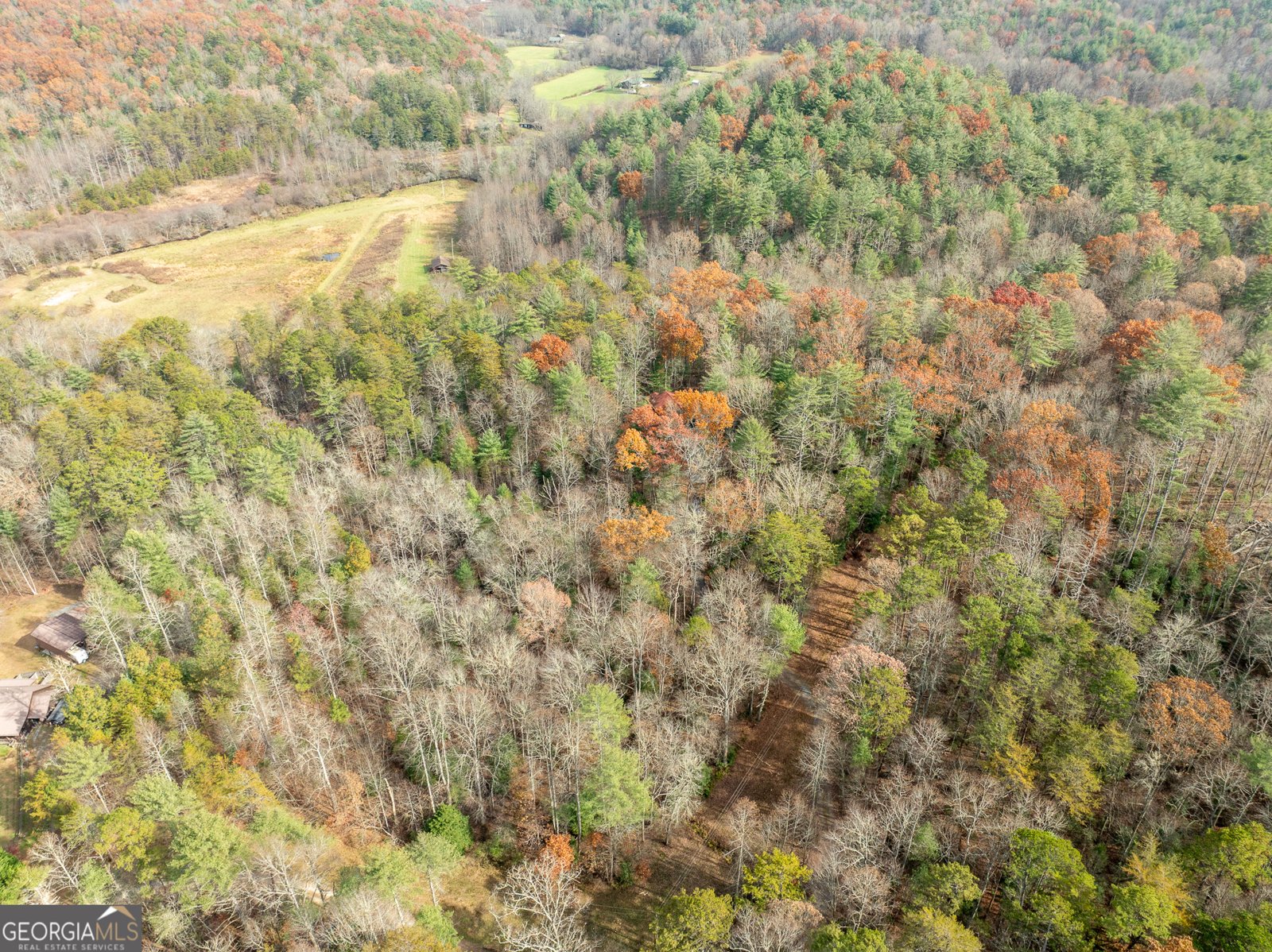 789 Jolley Way Epworth - 5