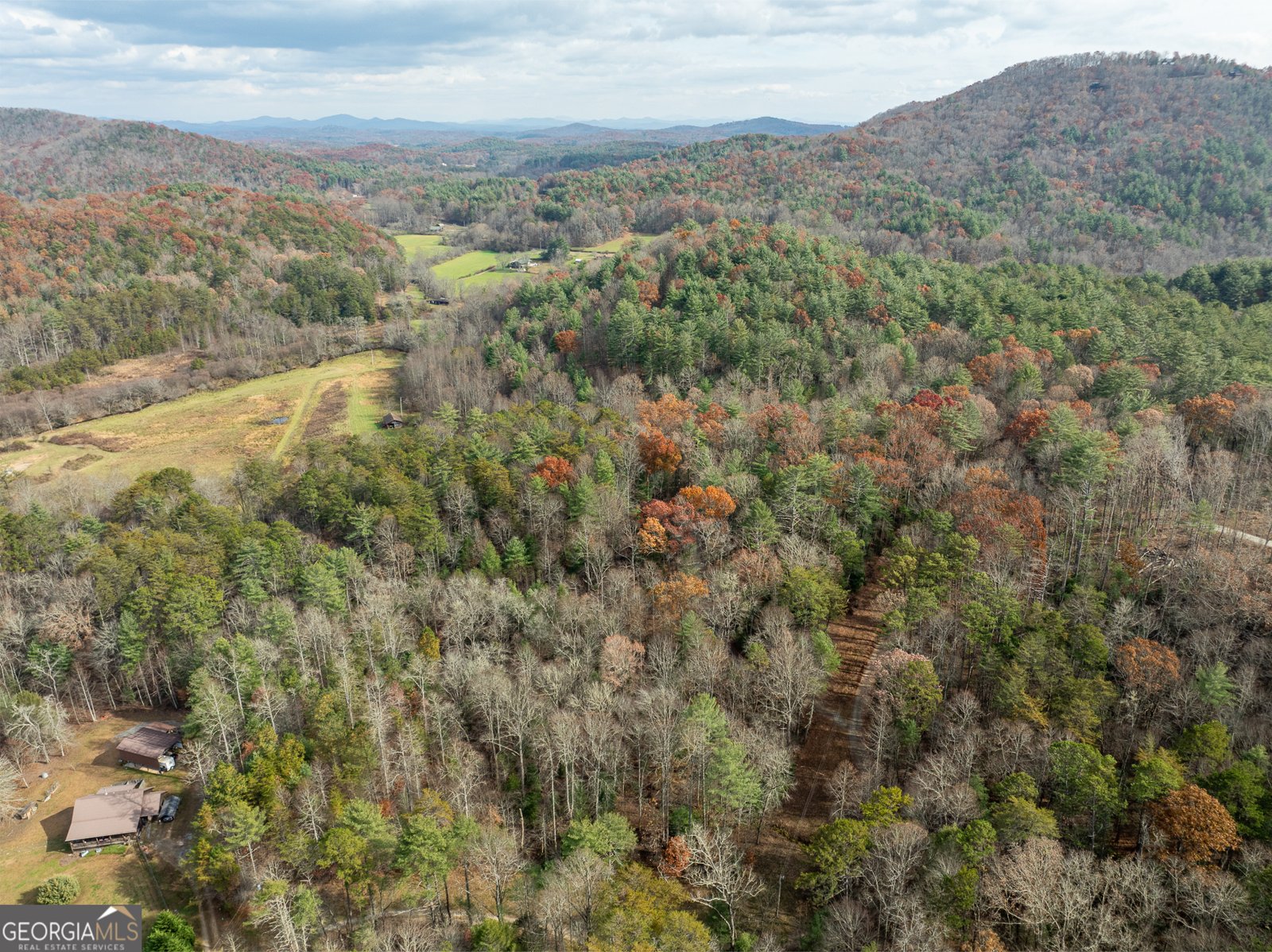 789 Jolley Way Epworth - 6