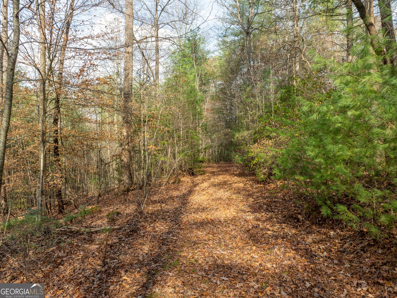 789 Jolley Way Epworth - 66