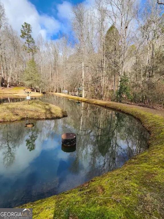 496 Beaver Dam Road Dahlonega - 17