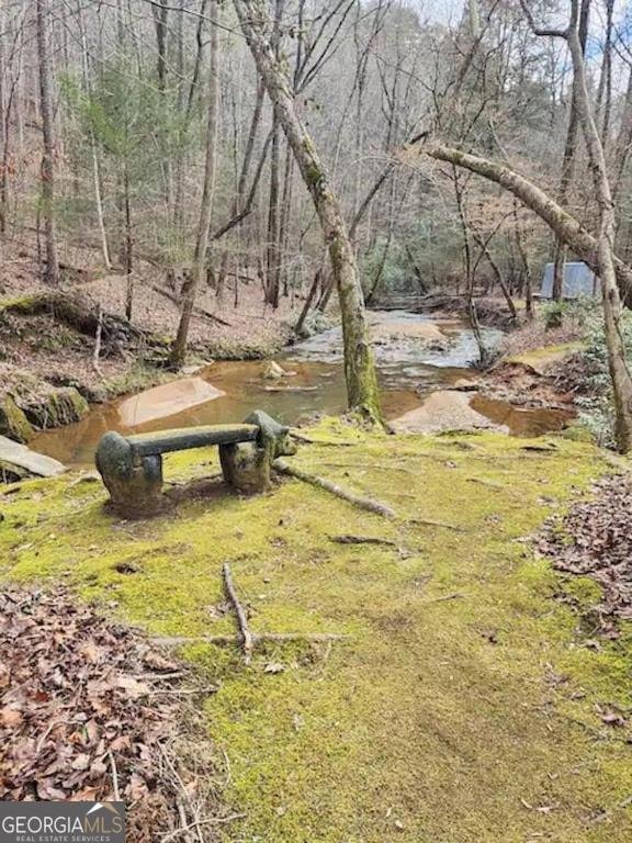 496 Beaver Dam Road Dahlonega - 18