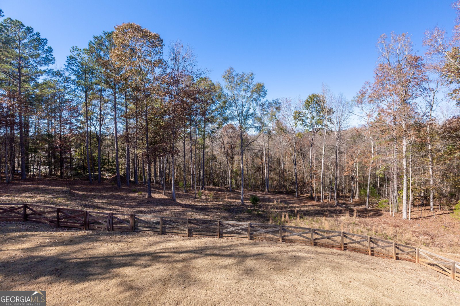 171 Walden Pond Trail Senoia - 1