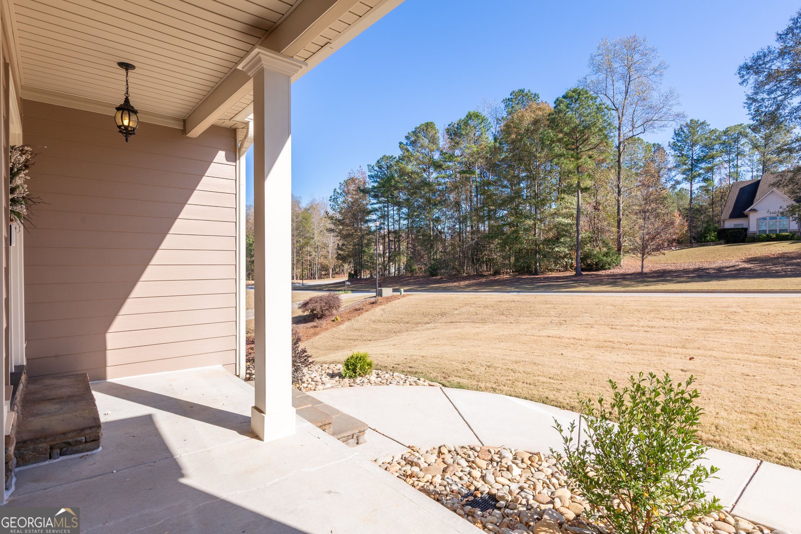 171 Walden Pond Trail Senoia - 11