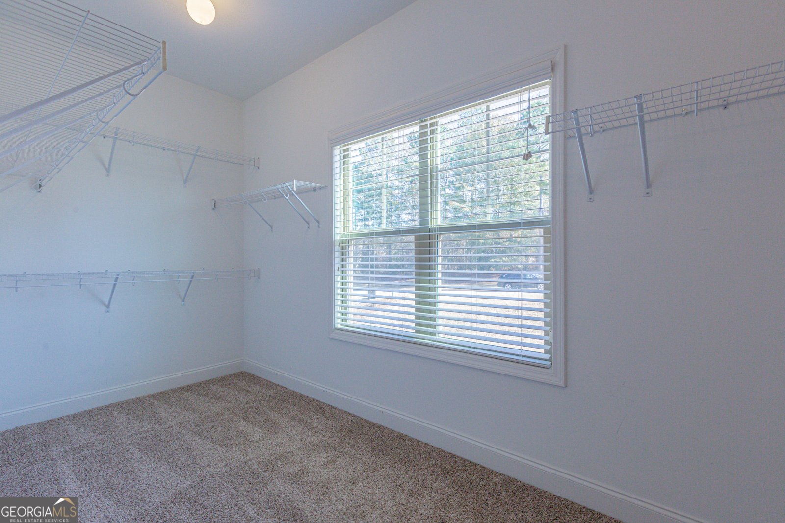 171 Walden Pond Trail Senoia - 42