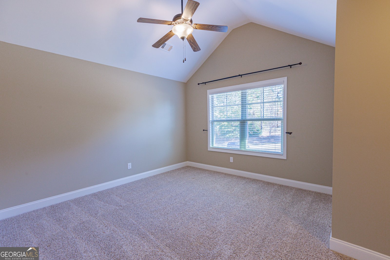 171 Walden Pond Trail Senoia - 47