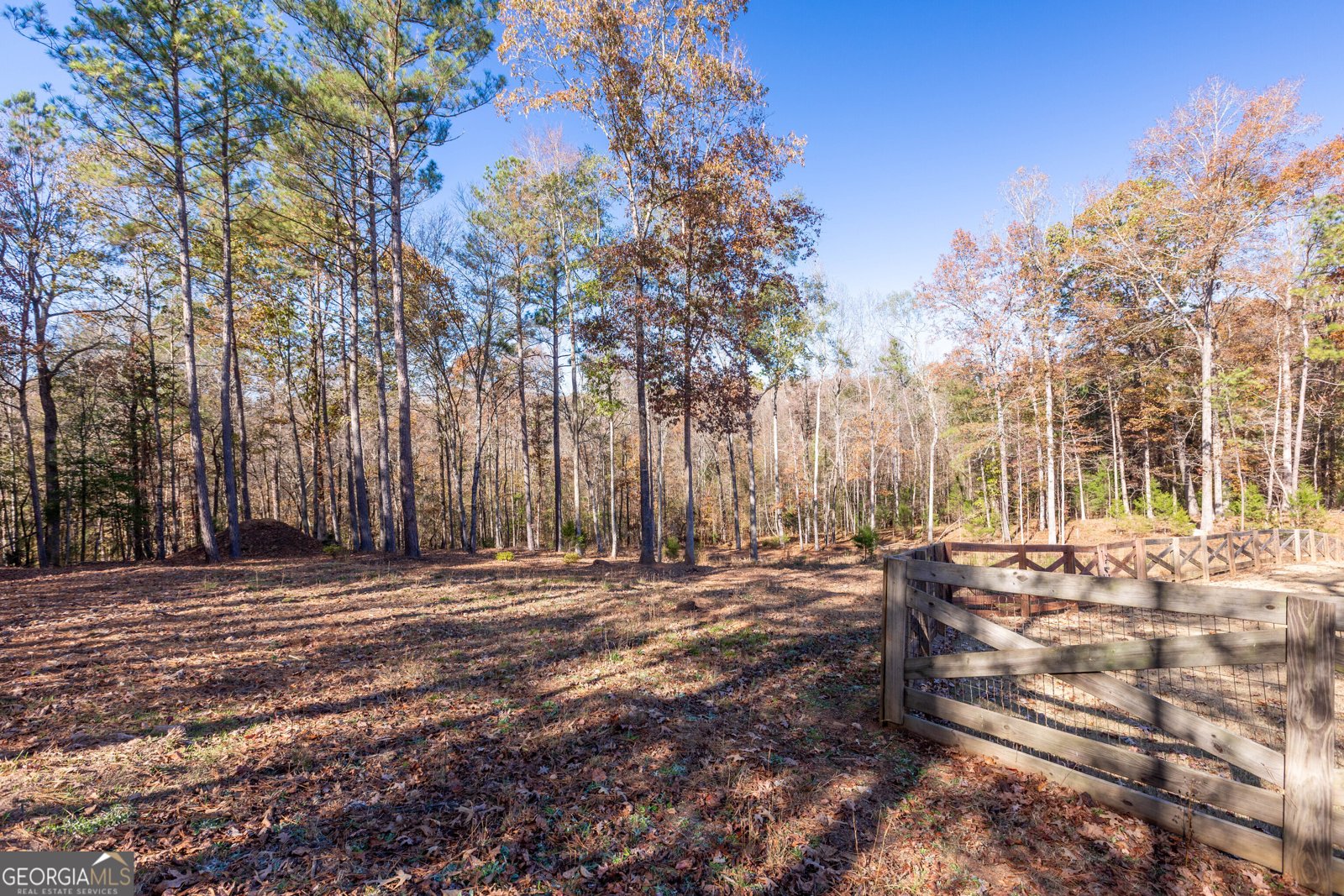 171 Walden Pond Trail Senoia - 79
