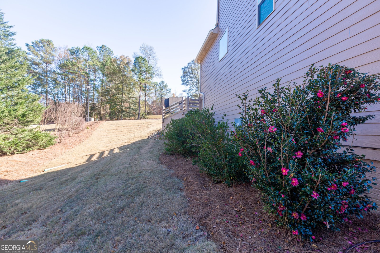 171 Walden Pond Trail Senoia - 82