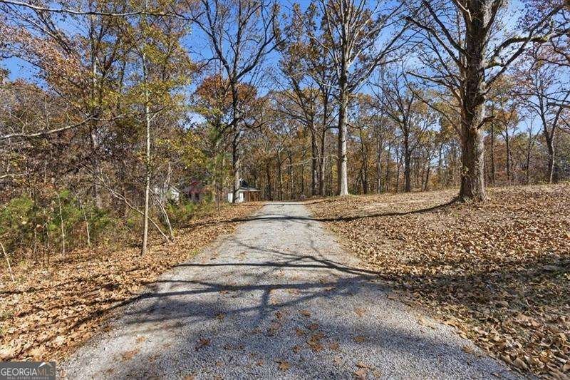 214 Bruce Road Douglasville - 5