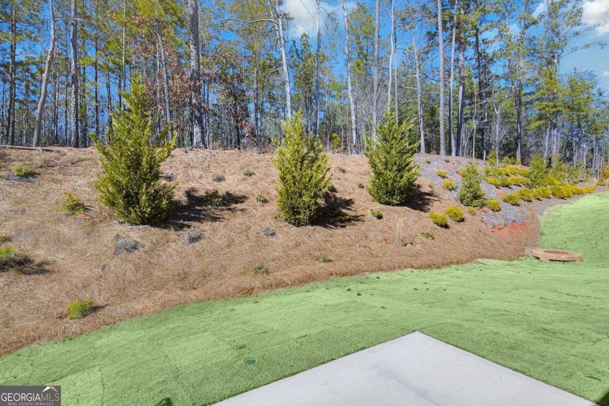 225 Park Lane Fairburn - 22