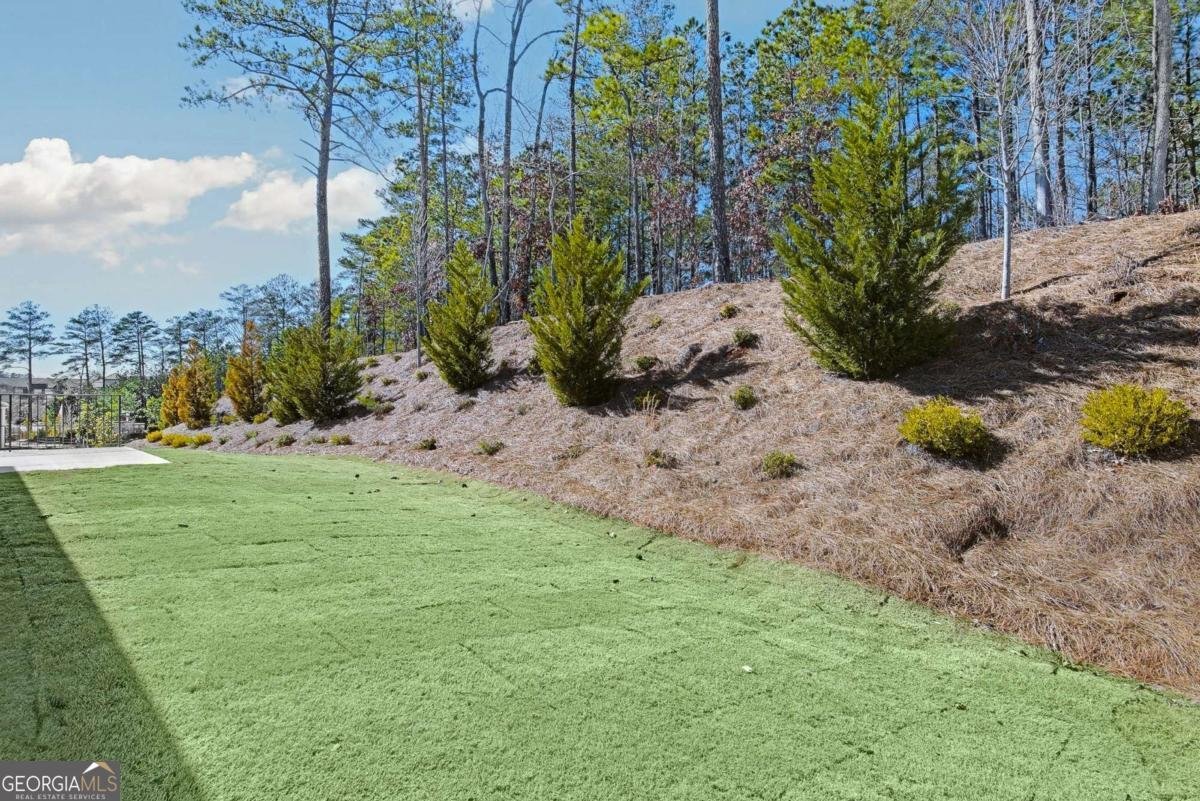 225 Park Lane Fairburn - 23