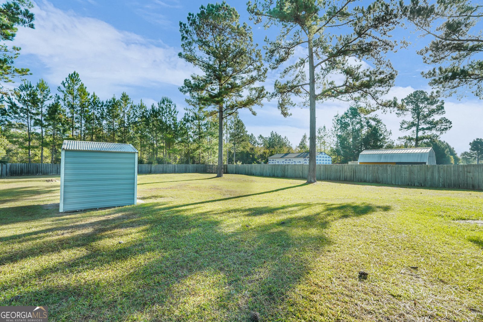 374 Mill Pond Lane Ludowici - 49