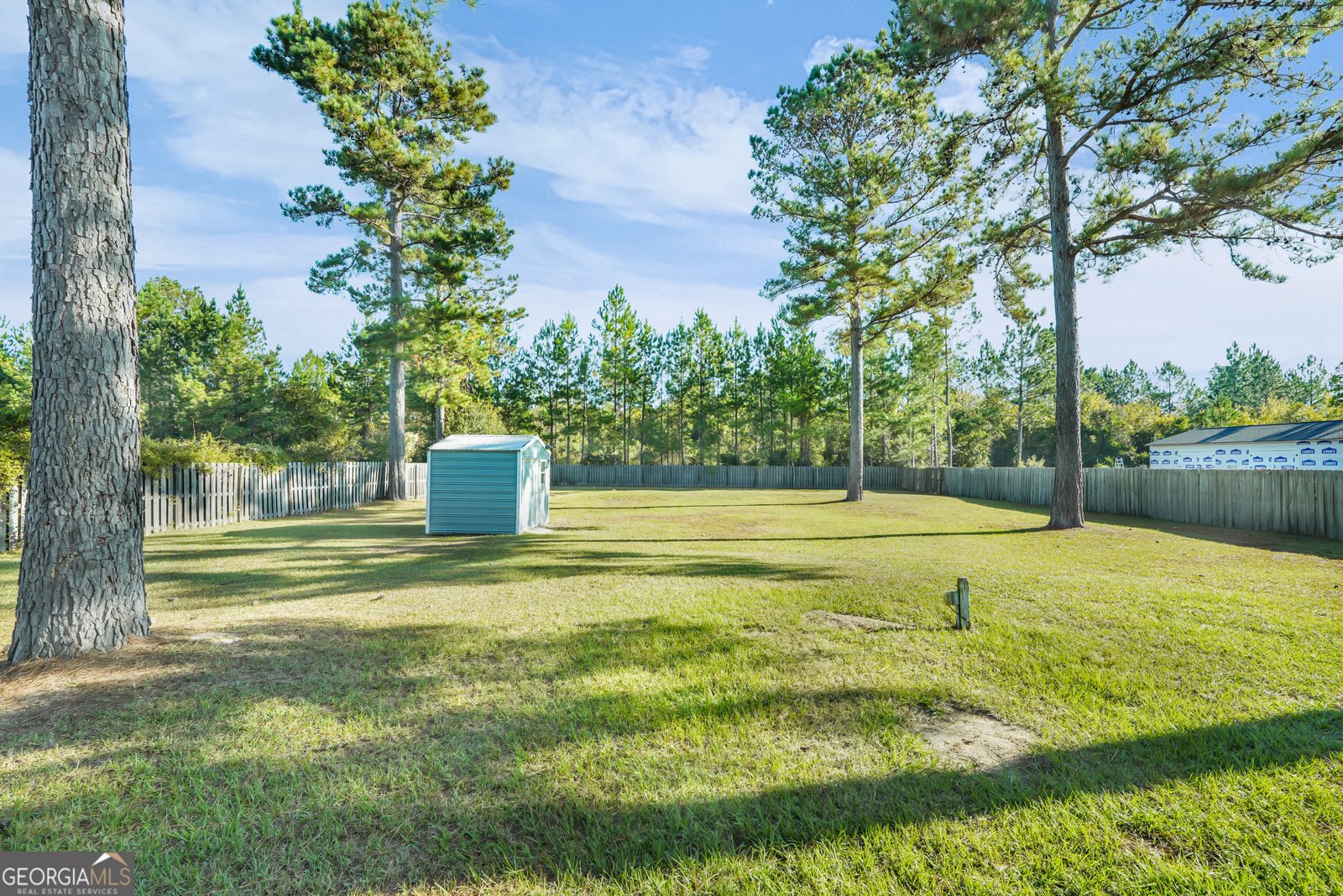 374 Mill Pond Lane Ludowici - 50