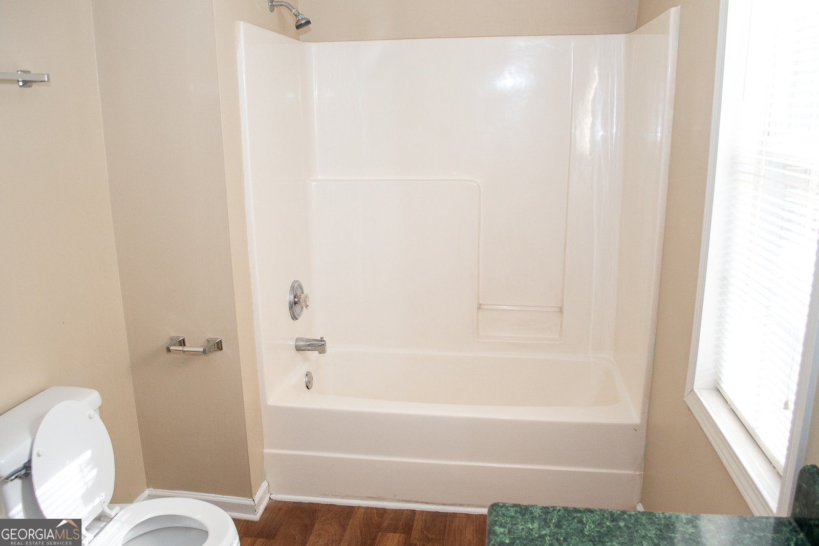 185 Widgeon Drive Newnan - 19