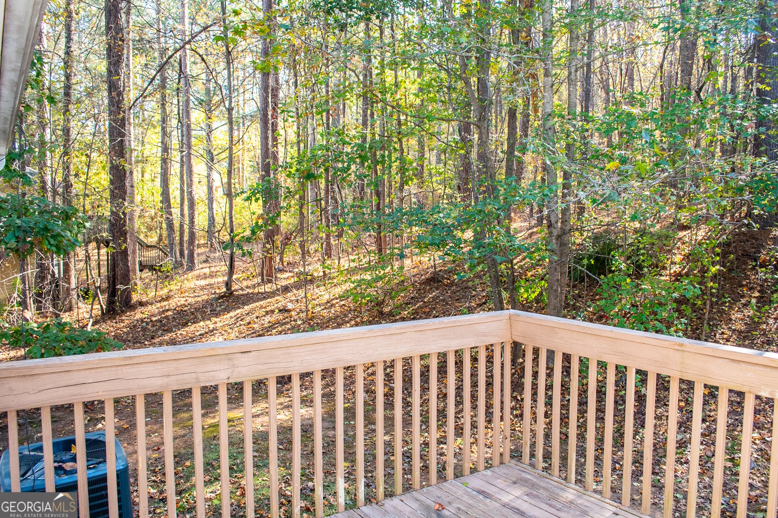 185 Widgeon Drive Newnan - 40