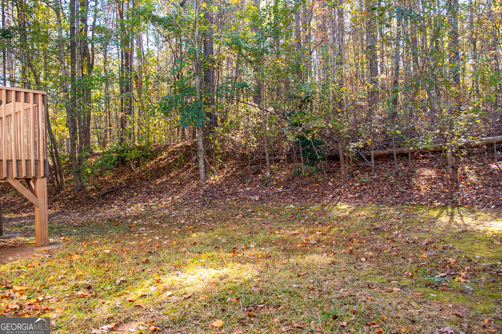 185 Widgeon Drive Newnan - 43