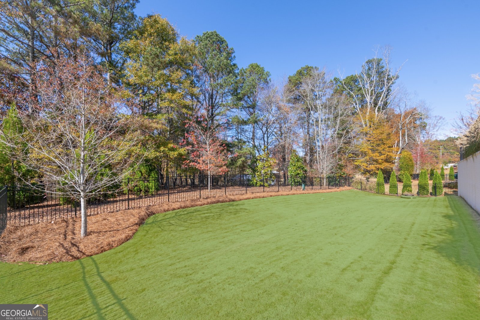 112 OWENS MILL Place Canton - 36