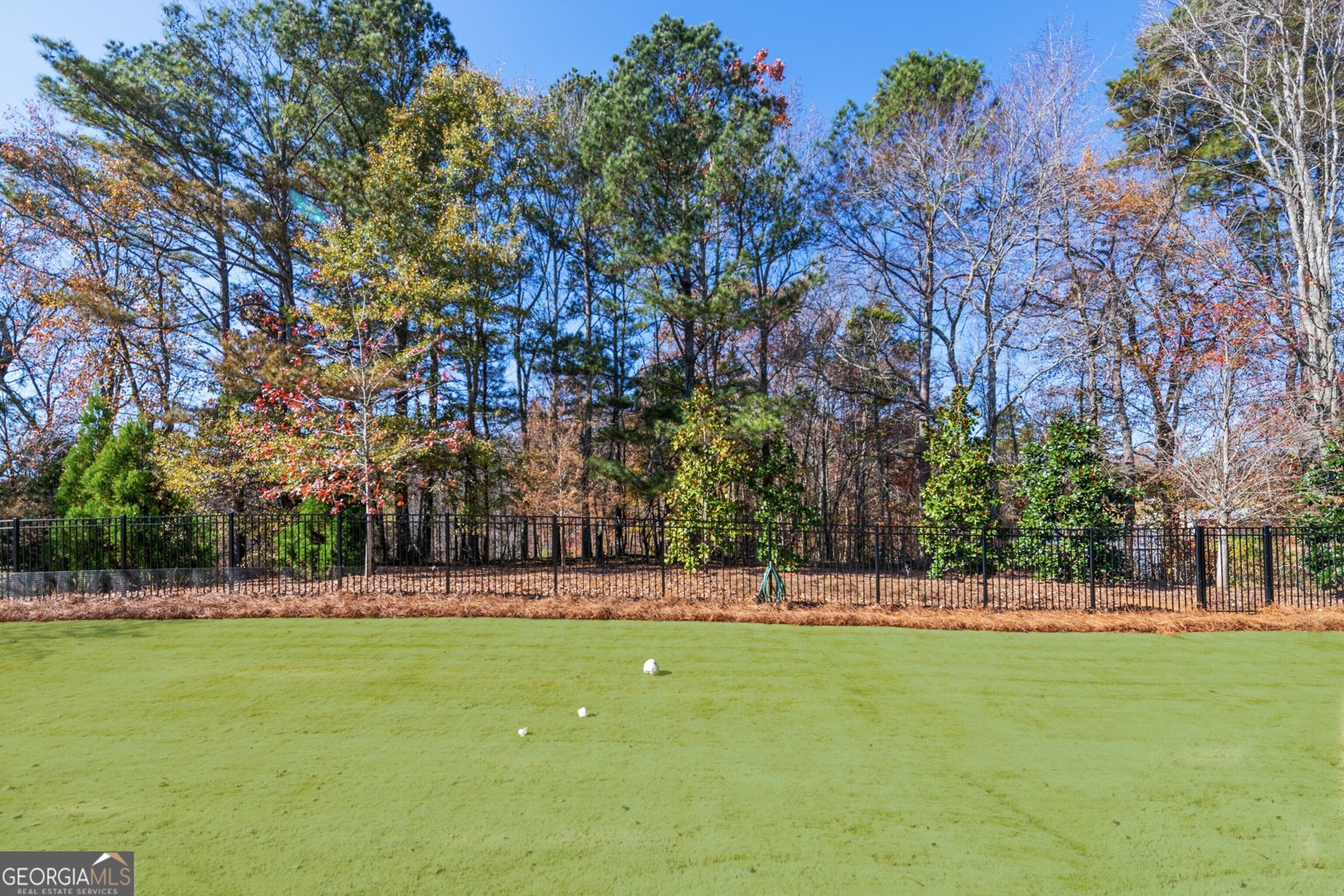 112 OWENS MILL Place Canton - 50