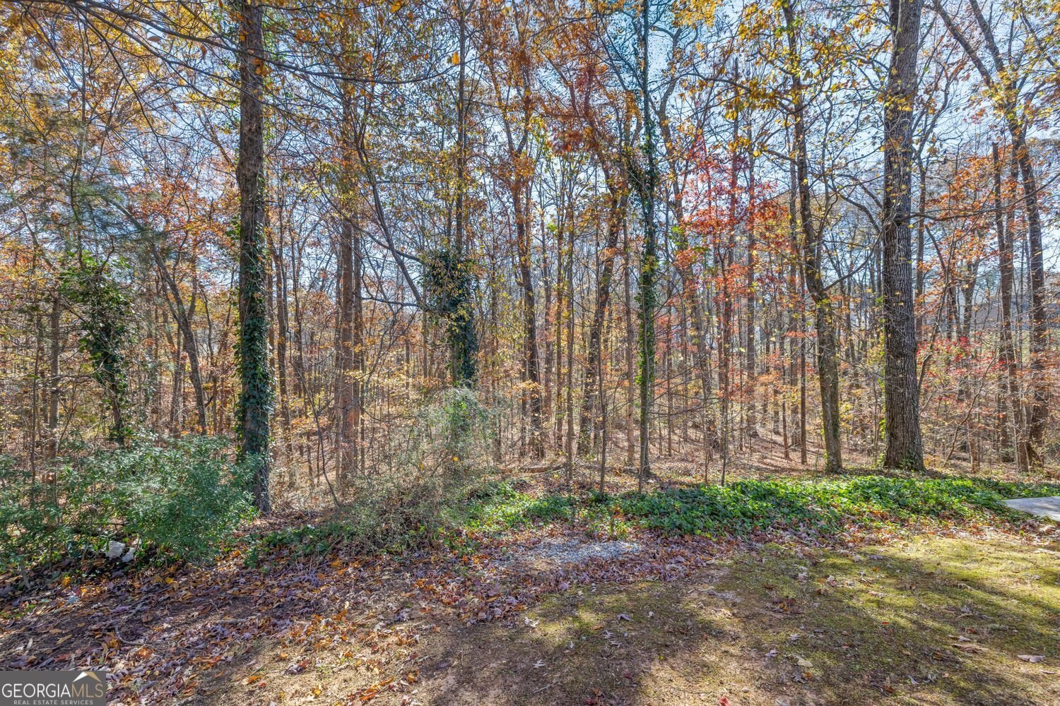 4304 Grey Park Drive Buford - 22