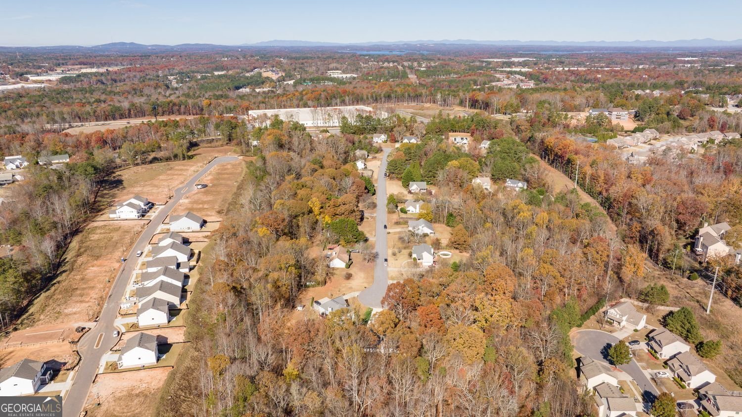 4304 Grey Park Drive Buford - 29