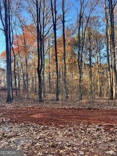 134 Goodman Path Temple - 6