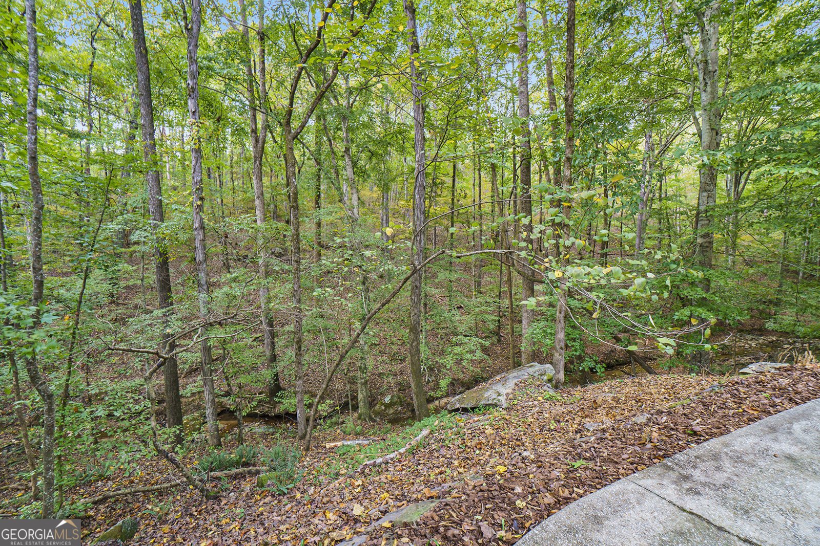 4048 Landmark Drive Douglasville - 44