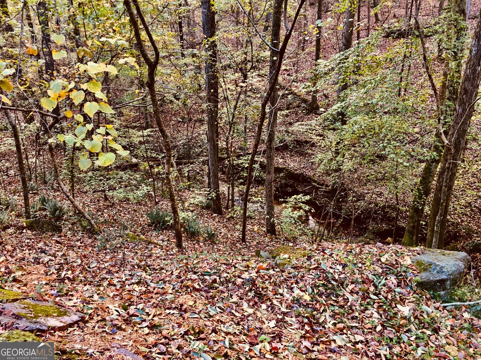 4048 Landmark Drive Douglasville - 66