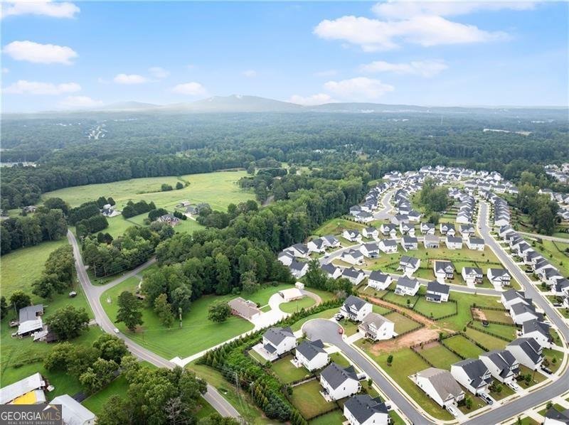 4535 Seacliff Court Cumming - 27