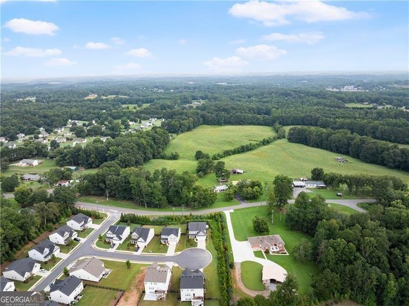 4535 Seacliff Court Cumming - 37