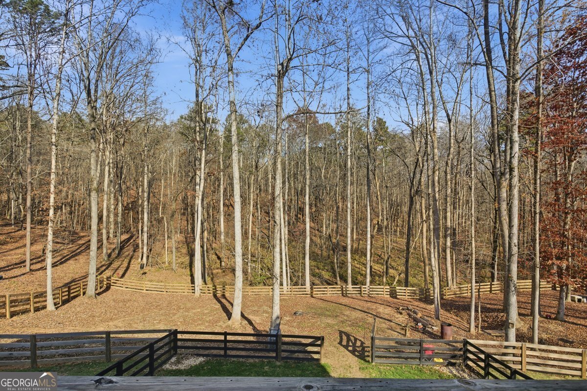 1 Grey Swan Way Dawsonville - 33