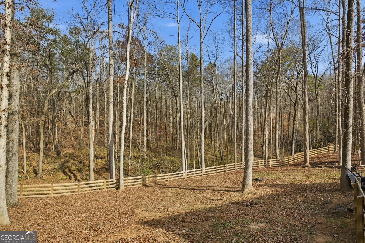 1 Grey Swan Way Dawsonville - 37