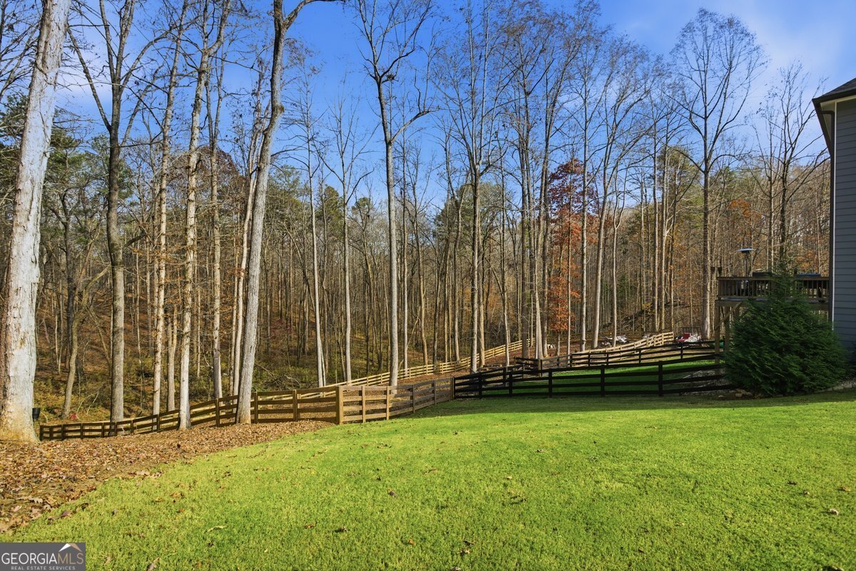 1 Grey Swan Way Dawsonville - 38