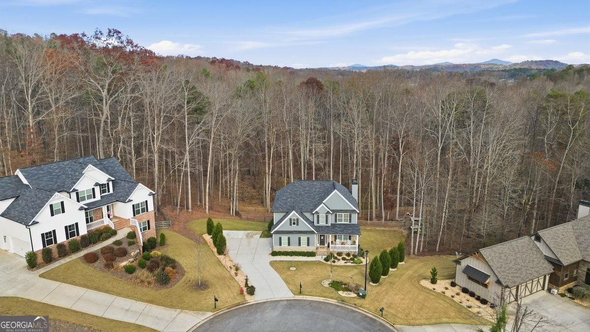 1 Grey Swan Way Dawsonville - 39