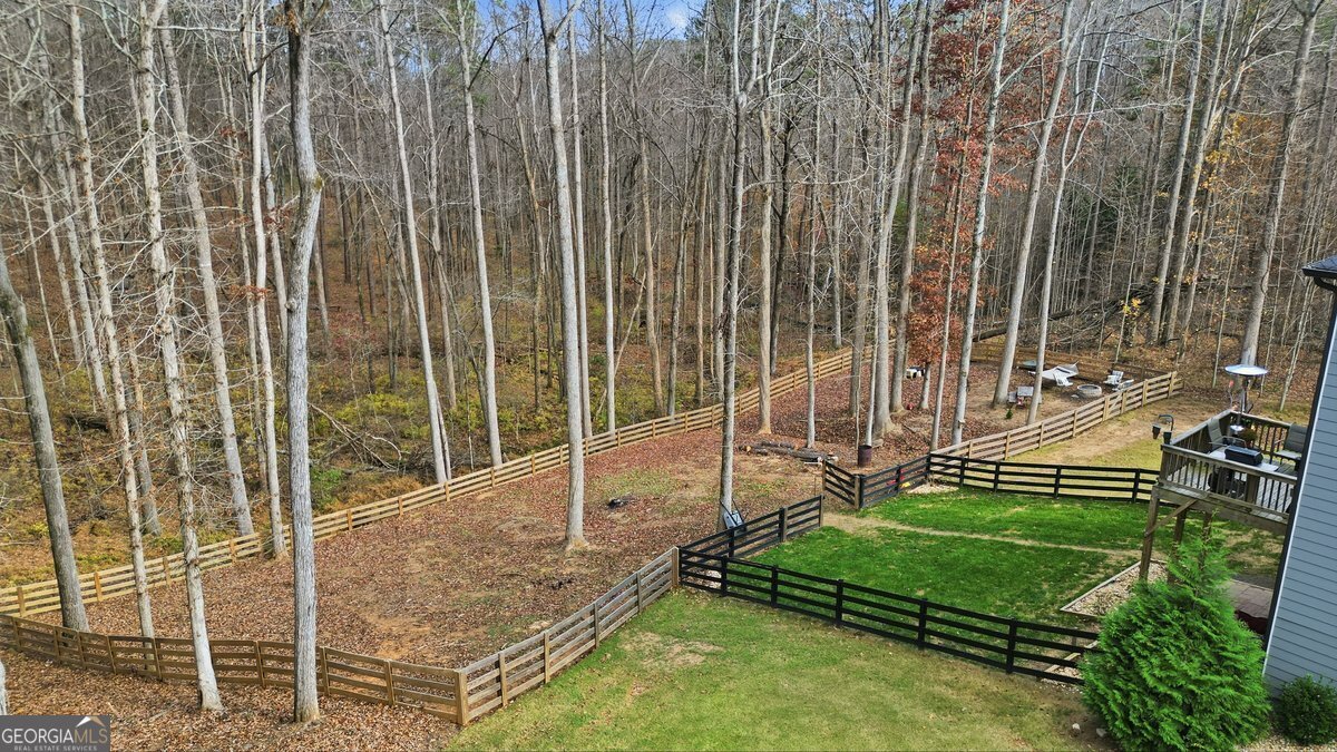 1 Grey Swan Way Dawsonville - 42