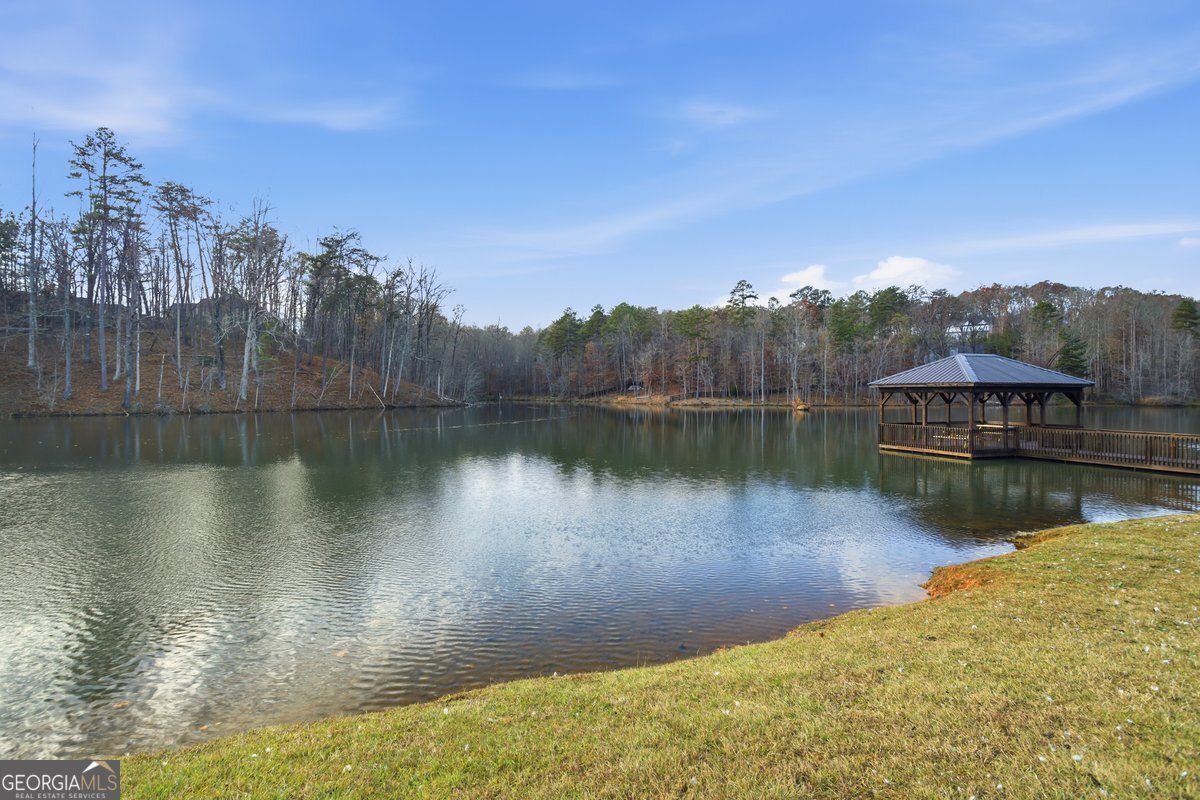 1 Grey Swan Way Dawsonville - 48