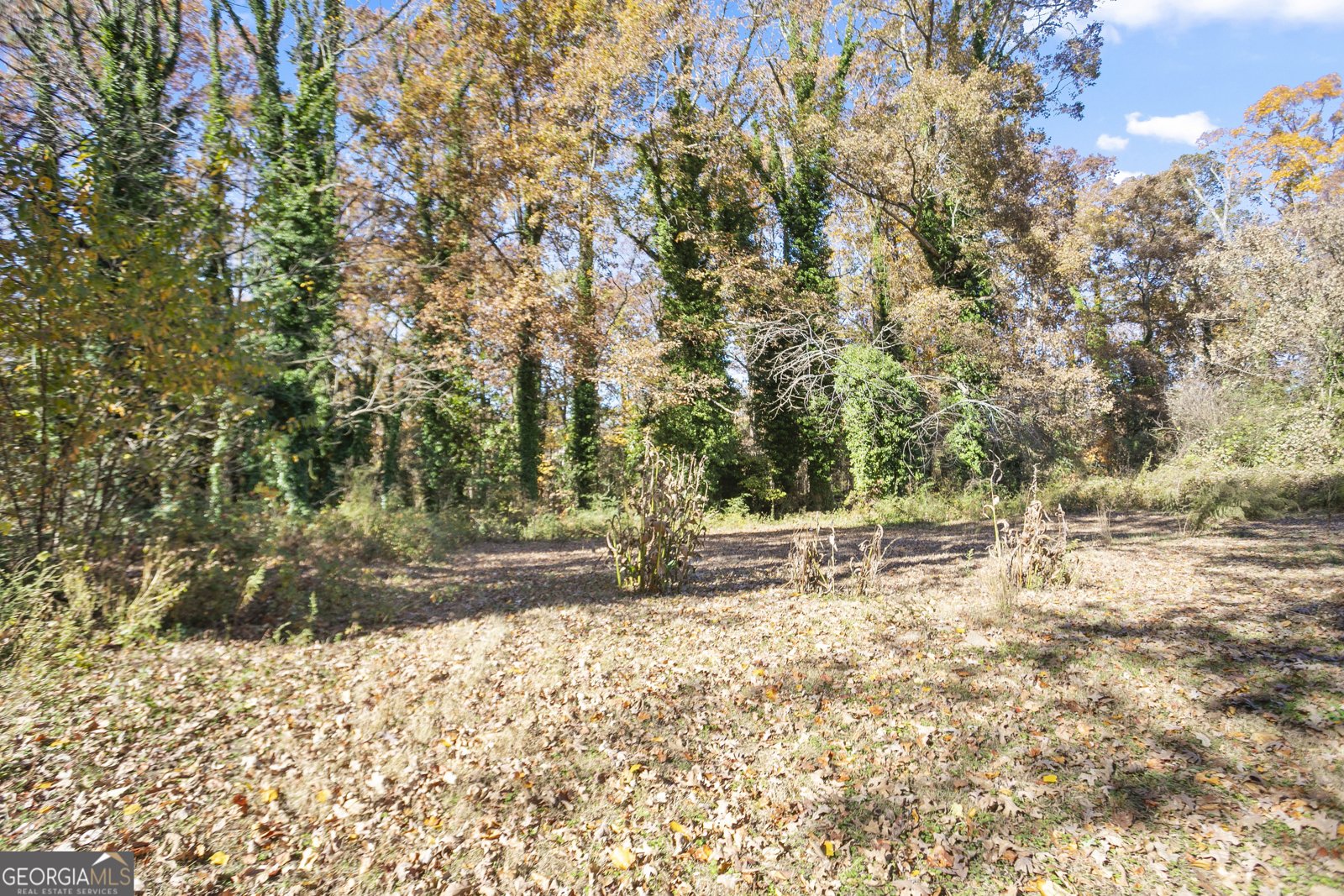 3685 Panola Road Lithonia - 7