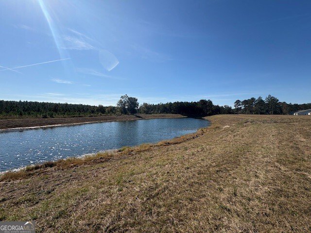 229 Park View Lane Kingsland - 48