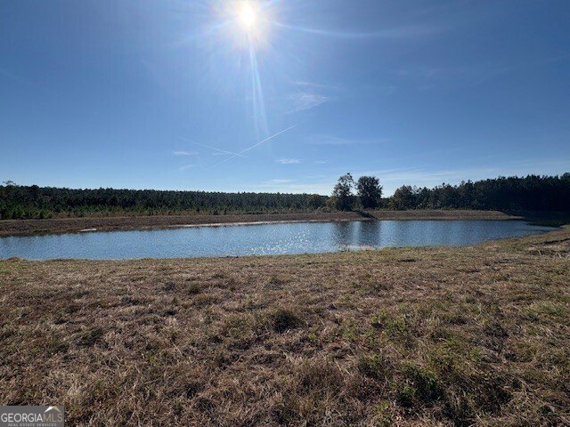 229 Park View Lane Kingsland - 49