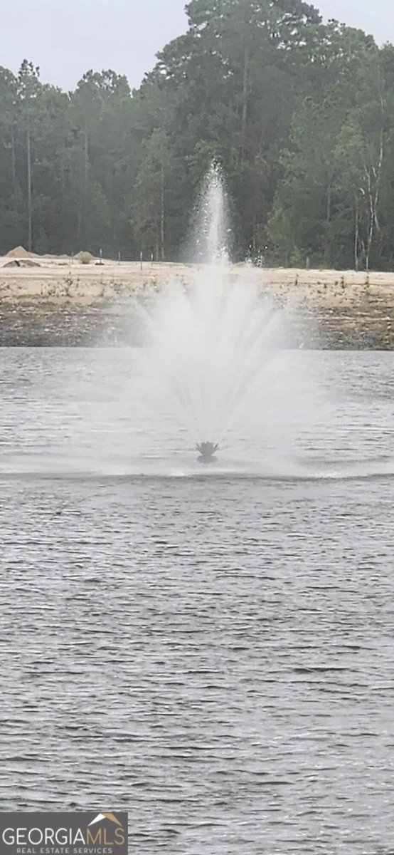 221 Collin Nicholas Drive Kingsland - 36