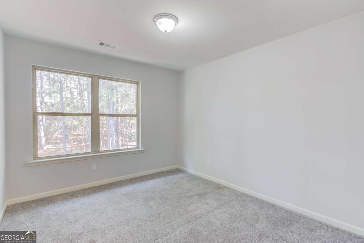 3275 Wild Basil Lane Buford - 34