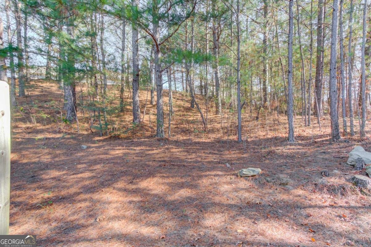 3275 Wild Basil Lane Buford - 41