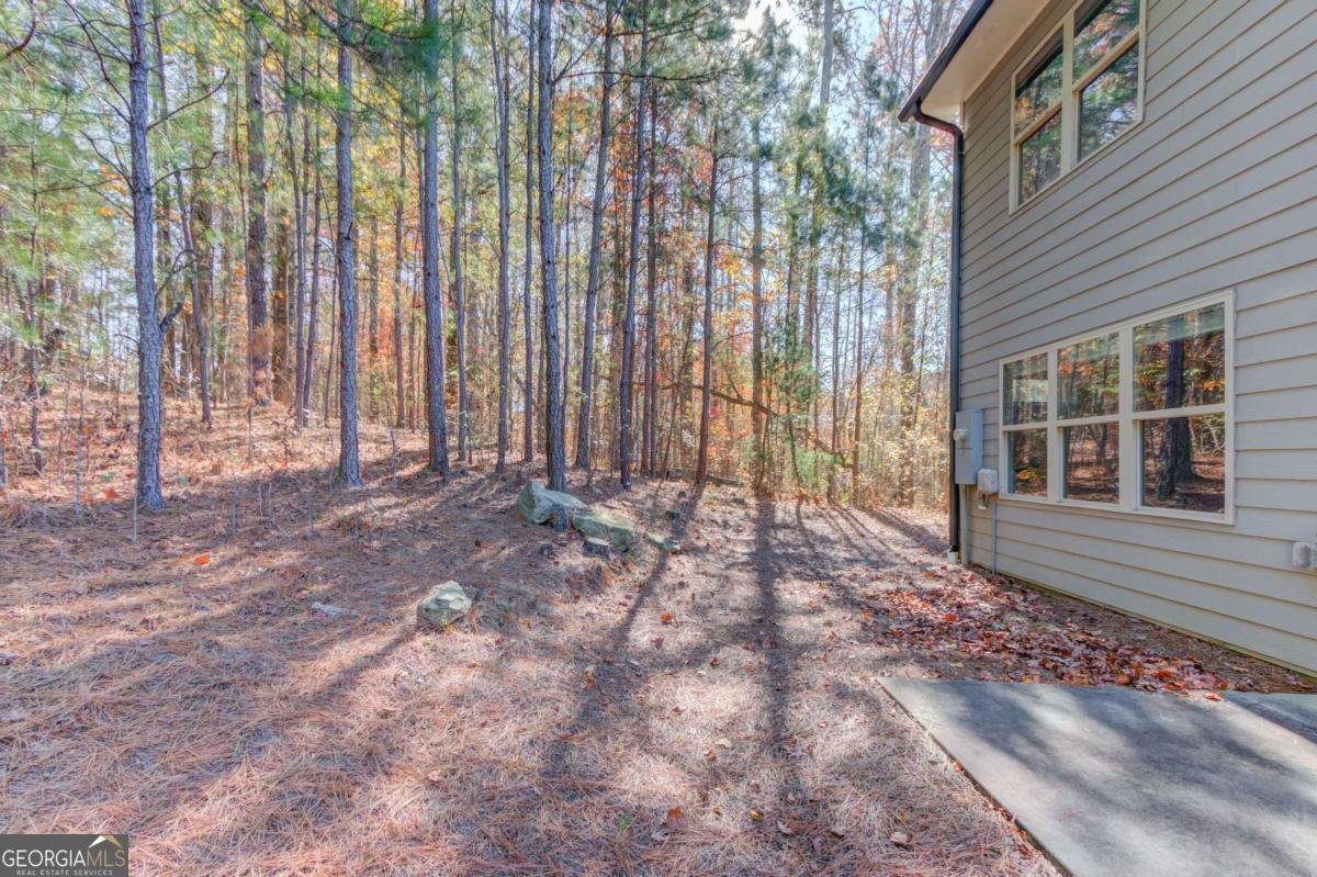 3275 Wild Basil Lane Buford - 42