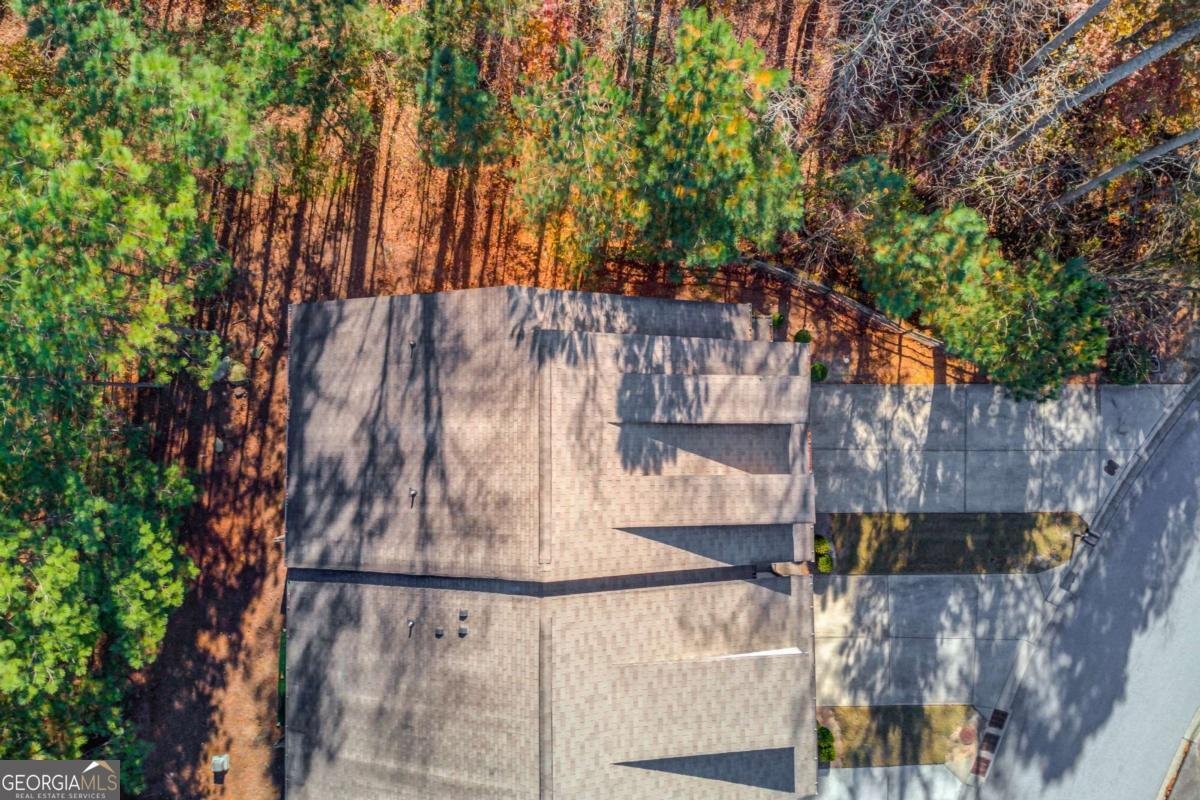 3275 Wild Basil Lane Buford - 46